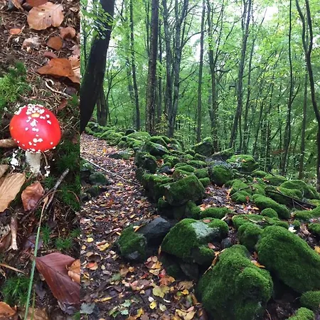 Hotel Ferienhaus Braunfels 3*