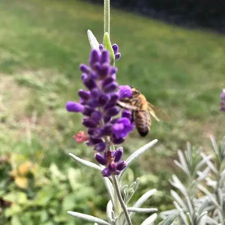 Hotel Ferienhaus Braunfels