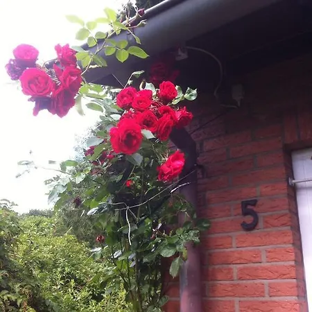 Ferienhaus Braunfels