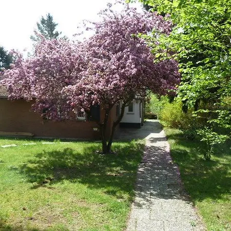 Ferienhaus Braunfels