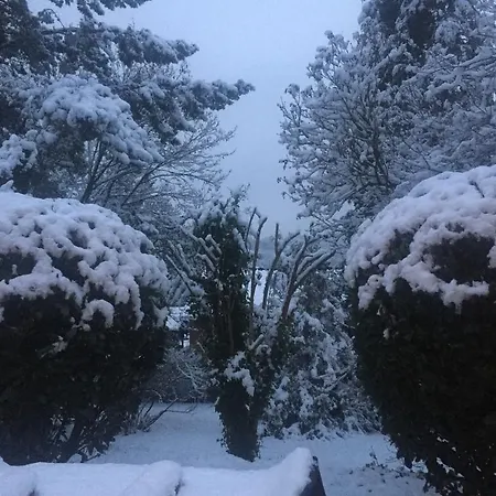 Hotel Ferienhaus Braunfels 3*