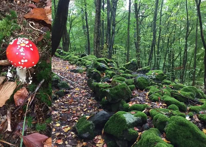 Hotel Ferienhaus Braunfels 3*