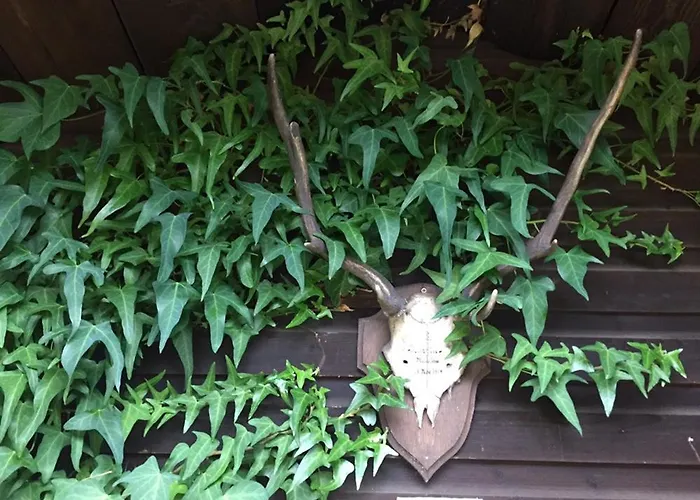 Ferienhaus Braunfels Hotel 3*