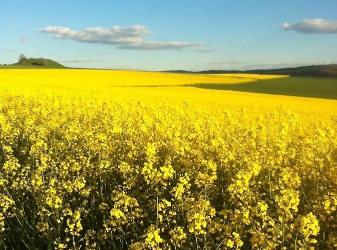 Ferienhaus Braunfels 3* Braunfels