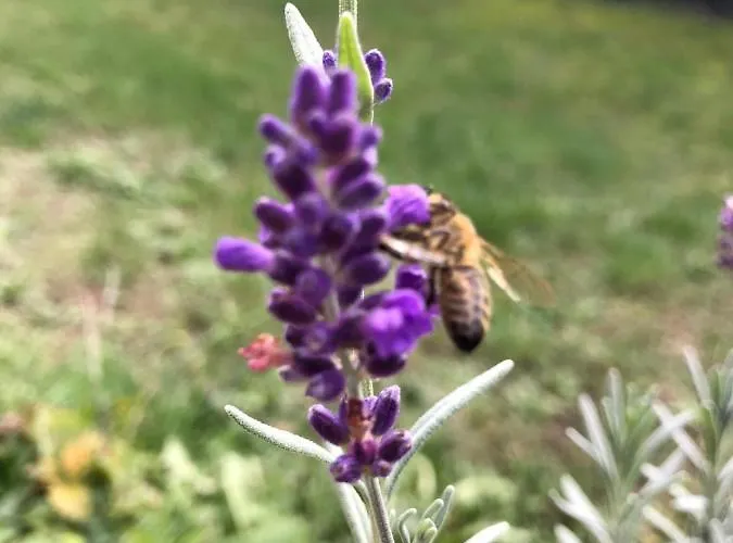 Hotel Ferienhaus Braunfels