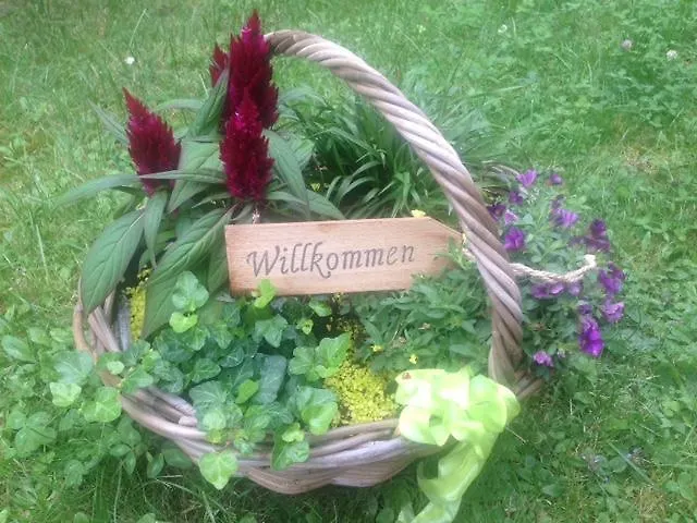 Hotel Ferienhaus Braunfels Braunfels