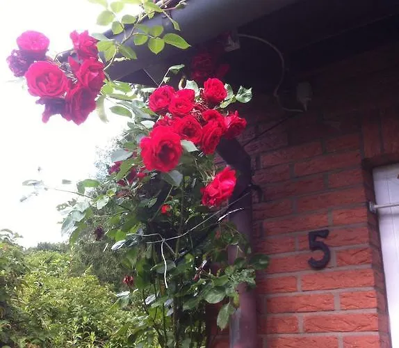 Ferienhaus Braunfels