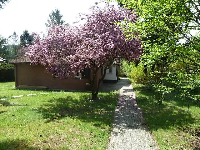 Ferienhaus Braunfels